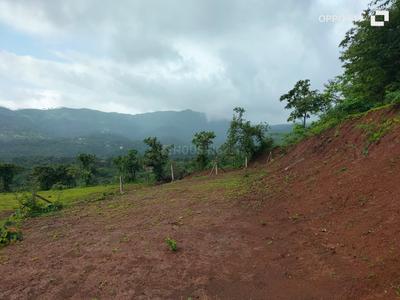 Image of 15000 Sq.ft Residential Plot / Land for sale in Bhor, Pune for Rs. 3000000