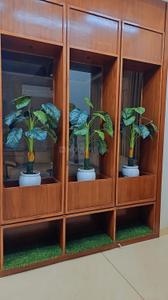 Bedroom Image of 3600 Sq.ft 6 BHK Villa for sale in Omaxe Phase 3 Mullanpur, New Chandigarh Chandigarh for Rs. 55000000