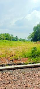Image of 1742 Sq.ft Residential Plot / Land for sale in Kakkanad, Kochi for Rs. 1300000