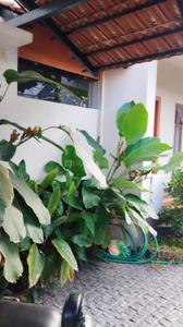 Image of 3000 Sq.ft 9 BHK Independent House for sale in Thrikkakara North, Kochi for Rs. 25000000