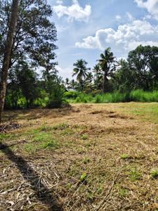 Image of 13050 Sq.ft Residential Plot / Land for sale in Irinjalakuda, Thrissur for Rs. 3000000