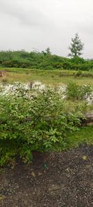 Image of 1800 Sq.ft Residential Plot / Land for sale in Mohanlalganj, Lucknow for Rs. 4500000