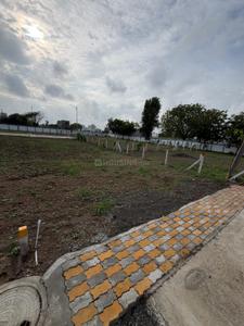 Warud Plot View 2