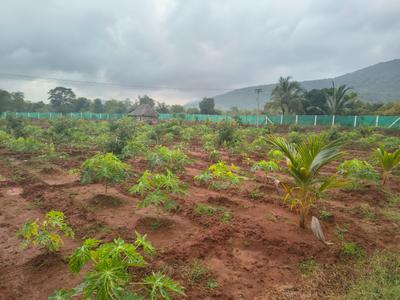 Image of 5432 Sq.ft 2 BHK Farm House for sale in Natham, Dindigul for Rs. 900000