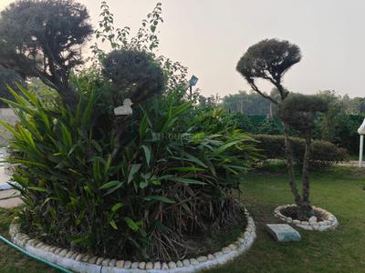 Image of 9072 Sq.ft 4 BHK Farm House for sale in Bilaspur, Greater Noida for Rs. 19656000
