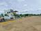 TGP GOLDEN CITY Plot View 2