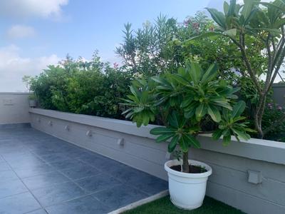 Image of 1972 Sq.ft 3 BHK Penthouse for sale in Goyal Orchid Whitefield, Makarba, Ahmedabad for Rs. 21500000