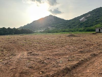 Image of 1697 Sq.ft Residential Plot / Land for sale in Mothadaka, Guntur for Rs. 4209000