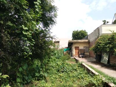Sector 9 Plot View 2