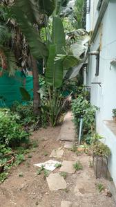 Image of 1850 Sq.ft 3 BHK Duplex for sale in Aundh, Pune for Rs. 19500000
