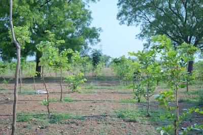 Image of 6000 Sq.ft Residential Plot / Land for sale in Gowribidnur, Chikballapur District for Rs. 4200000