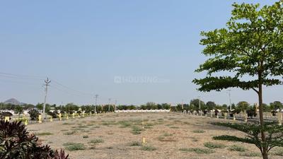 Image of 1800 Sq.ft Residential Plot / Land for sale in Nidumukkala, Guntur for Rs. 4000000