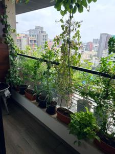 Balcony Image of 850 Sq.ft 2 BHK Apartment / Flat for rent in Aum Nav Kiran, Santacruz West Mumbai for Rs. 250000