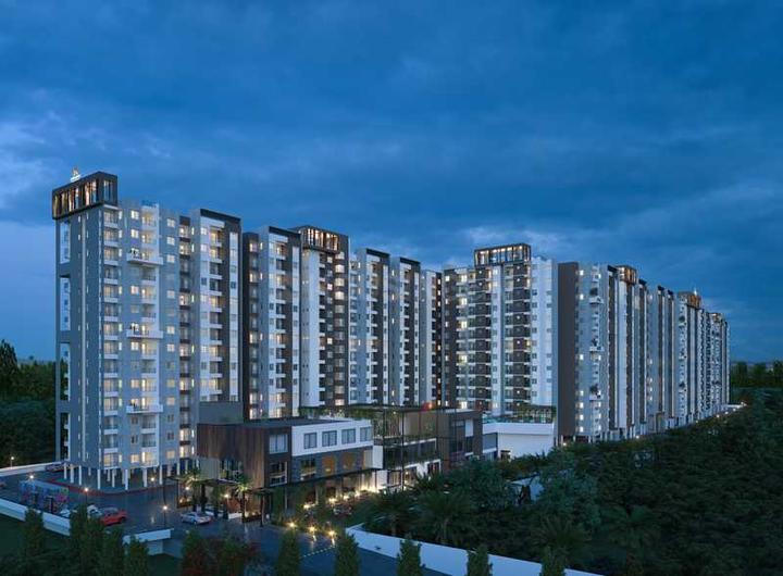 Euphoria In The East Main Image 1