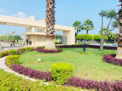 Residential Plot