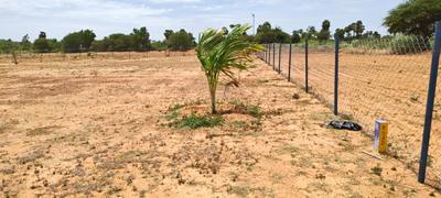 Image of 11104 Sq.ft Residential Plot / Land for sale in Sooriyur, Tiruchirappalli for Rs. 1765377