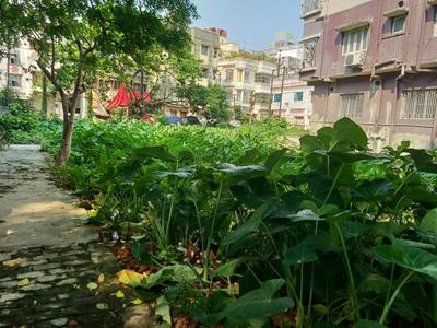 Image of 8100 Sq.ft Residential Plot / Land for sale in Keshtopur, Kolkata for Rs. 56250000