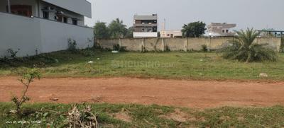 Image of 3087 Sq.ft Residential Plot / Land for sale in Panduru, Kakinada for Rs. 1900000