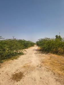 Image of 1250 Sq.ft Residential Plot / Land for sale in Saran Nagar, Jodhpur for Rs. 600000