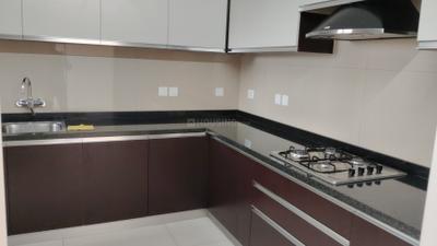 Kitchen Image of 1876 Sq.ft 3 BHK Apartment / Flat for rent in Sobha HRC Pristine, Jakkur Bengaluru for Rs. 75000