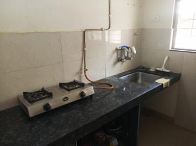 Kitchen Image of 600 Sq.ft 1 BHK Apartment / Flat for rent in Amit Colori, Undri Pune for Rs. 16000