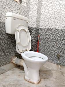 Common Bathroom Image of 860 Sq.ft 2 BHK Apartment / Flat for sale in Mukundapur Kolkata for Rs. 5650000
