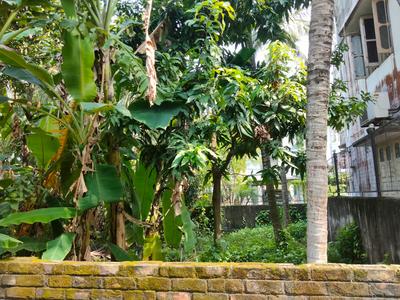 Image of 2160 Sq.ft Residential Plot / Land for sale in Rajarhat, Kolkata for Rs. 6800000