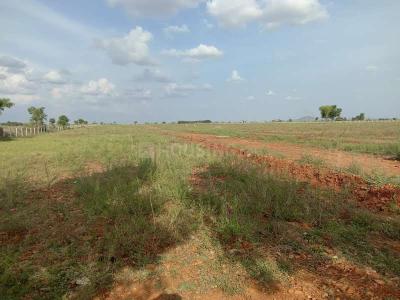 Image of 458 Sq.ft Residential Plot / Land for sale in Shameerpet Lake, Hyderabad for Rs. 9000000