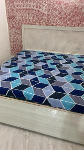 Bedroom Image of 800 Sq.ft 1 BHK Builder Floor for rent in Sector 55 Gurgaon for Rs. 26000