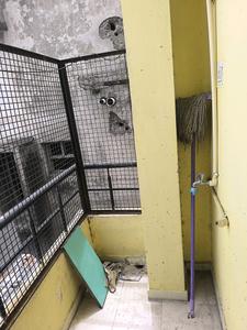 Drying Area Image of 750 Sq.ft 2 BHK Apartment / Flat for rent in Gottigere Bengaluru for Rs. 10000