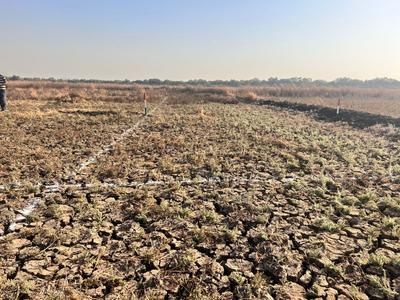 Image of 1089 Sq.ft Residential Plot / Land for sale in Koproli, Navi Mumbai for Rs. 580000