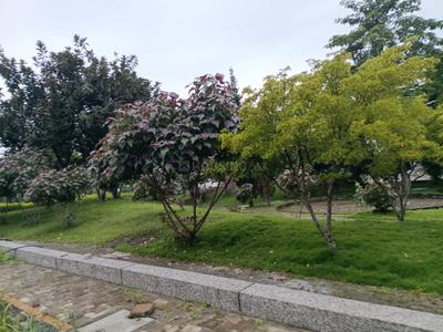 Image of 3000 Sq.ft Residential Plot / Land for sale in Aarone Countywalk Oasis, Mayakhedi, Indore for Rs. 25500000