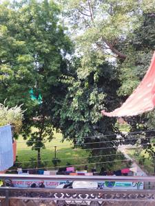 Balcony Image of 800 Sq.ft 1 BHK Builder Floor for rent in Lohia Nagar Ghaziabad for Rs. 6000