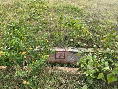 Image of 1500 Sq.ft Residential Plot / Land for sale in Maratikyatana Halli, Mysore for Rs. 4275000