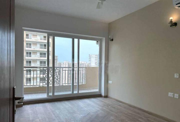 IVY County Main Image 1