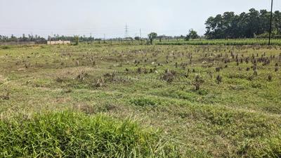 Image of 19166 Sq.ft Residential Plot / Land for sale in Uttarbhag, South 24 Parganas for Rs. 1200000