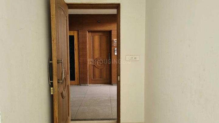 Surya Emerald Main Image 1