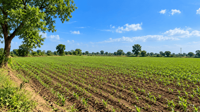 Image of 5445 Sq.ft Residential Plot / Land for sale in Uvarsad, Gandhinagar for Rs. 76000080