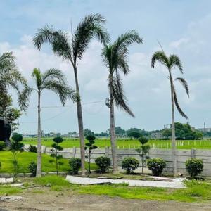 Image of 1000 Sq.ft Residential Plot / Land for sale in Bhawrasla, Indore for Rs. 3300000