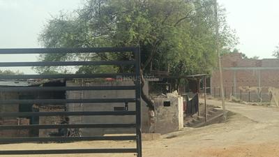 Image of 1000 Sq.ft Residential Plot / Land for sale in Indira Nagar, Lucknow for Rs. 1500000