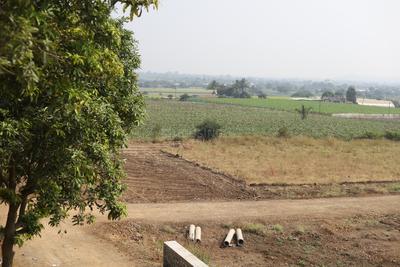 Image of 10764 Sq.ft Residential Plot / Land for sale in Gangapur, Nashik for Rs. 5500000