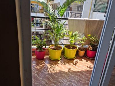 Balcony Image of 1560 Sq.ft 3 BHK Apartment / Flat for rent in Whitefield Bengaluru for Rs. 43000