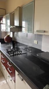 Kitchen Image of 1250 Sq.ft 3 BHK Apartment / Flat for rent in Kalpataru Estate, Pimple Gurav Pune for Rs. 42000