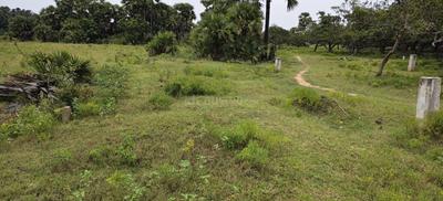 Image of 200 Sq.ft Residential Plot / Land for sale in Penumarti, Kakinada for Rs. 1200000