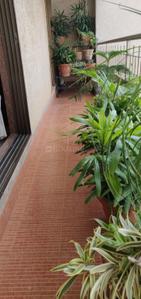 Balcony Image of 1785 Sq.ft 3 BHK Apartment / Flat for sale in Matoshree Pearl, Mahim Mumbai for Rs. 62500001