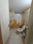 vaishnavi apartment Bathroom 1