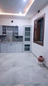Hall Image of 600 Sq.ft 3 BHK Builder Floor for rent in Sector 5 Hisar for Rs. 16500