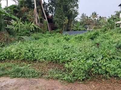 keralarealty Plot View 3