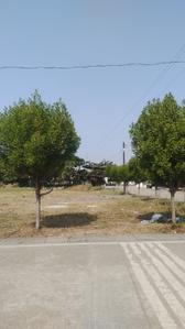 Image of 1000 Sq.ft Residential Plot / Land for sale in Bhilai Marshalling Yard, Charoda for Rs. 1600000