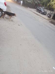 Image of 102 Sq.ft Residential Plot / Land for sale in Sector 51, Gurgaon for Rs. 32500000